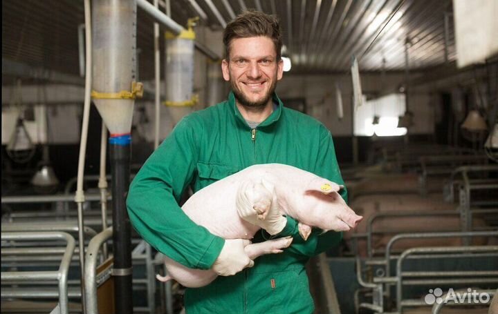 Оператор на ферму