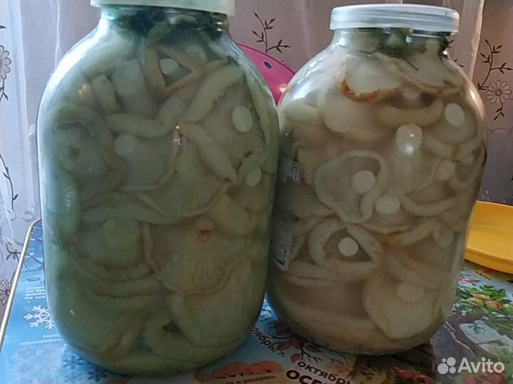 Грузди соленые