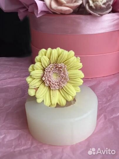 Молд гербера