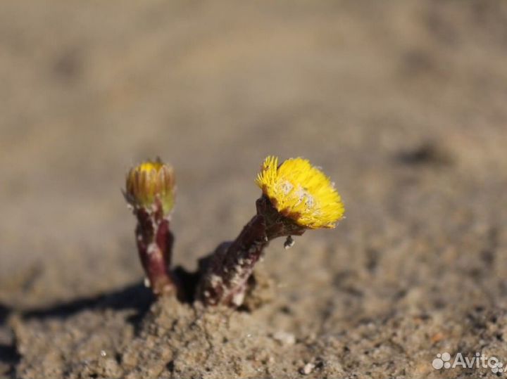 Ваш фотограф в Свердловской обл