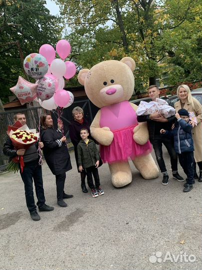 Мишки аниматоры 2,5метра. Праздники.Поздравления