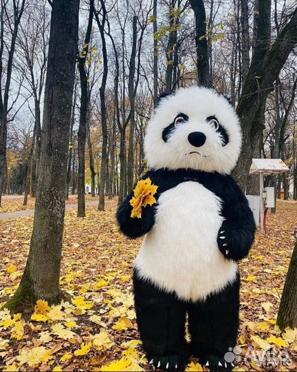 Аниматоры/Надувной медведь/Аквагрим