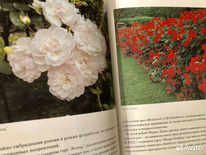 Книга Французские Розы Селекции Мейан