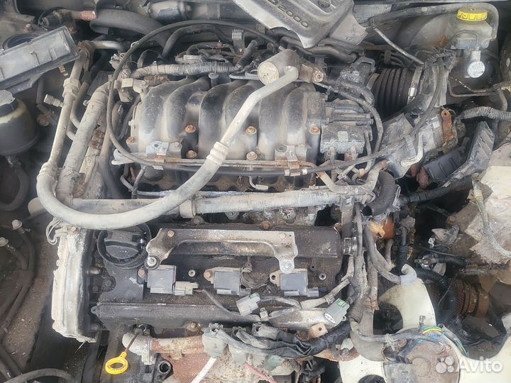 Разбор nissan maxima a33 2.0