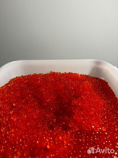 Красная икра форель натур. Опт Кета