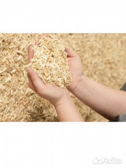 Стружка бесплатно