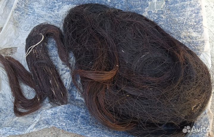 Конский волос