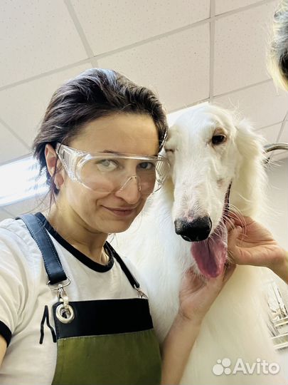 Грумер стрижка собак