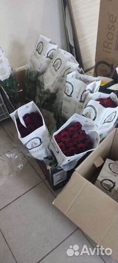 Голландская роза 55 см