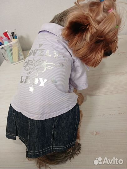 Платье для собаки