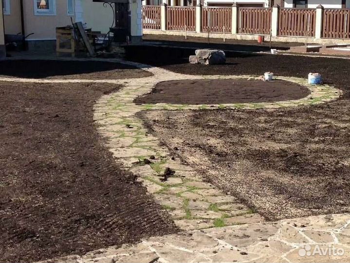 Посев газона