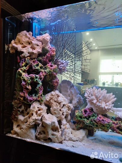 Изготовление и чистка аквариумов