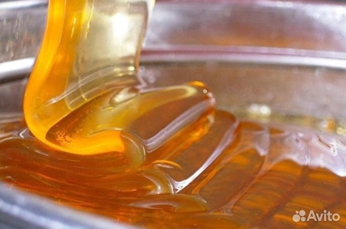 Мёд натуральный алтайский оптом от 16 кг