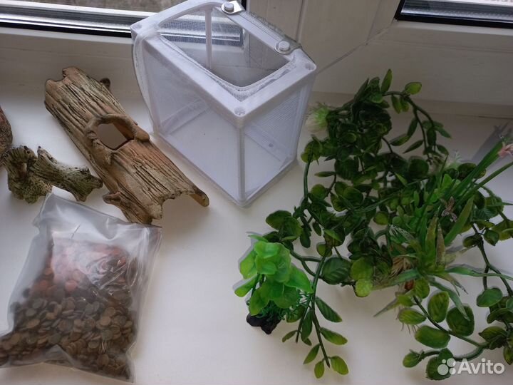 Для аквариума