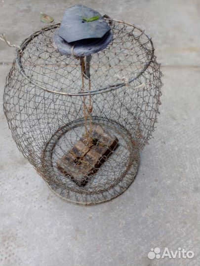 Кормак на Дон