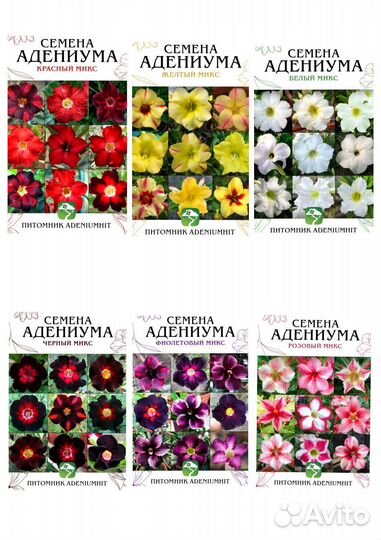 Семена суккулентов и кактусов