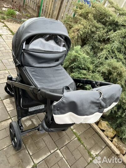 Коляска 2 в 1 Ray Victoria