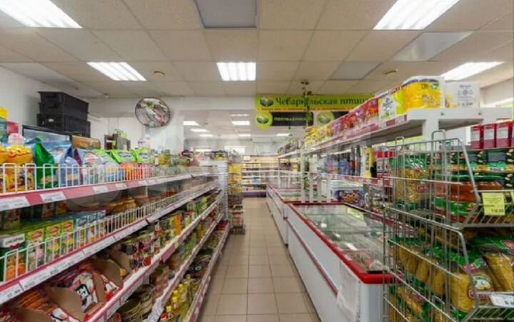 Доходная недвижимость 226.1 кв.м., ул. Пермякова