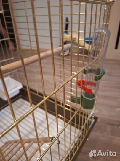 Клетка для попугая