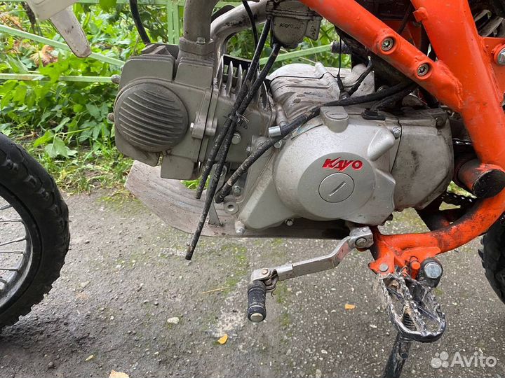 Питбайк кайо тт 125