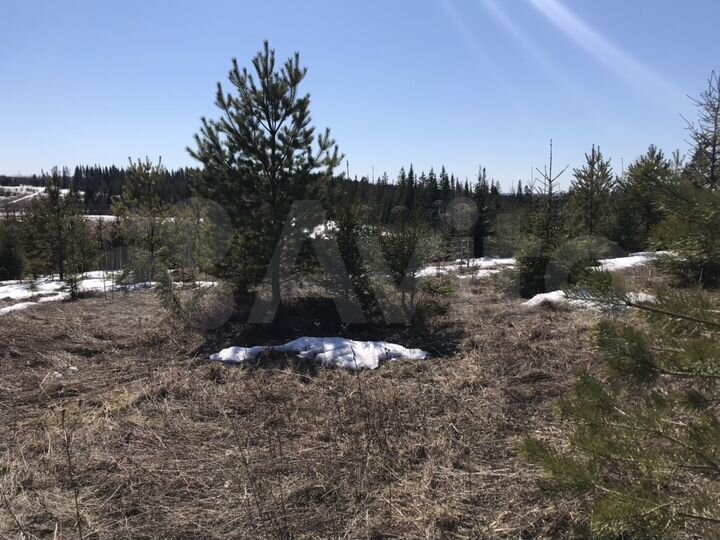 Участок 8,4 га (СНТ, ДНП)