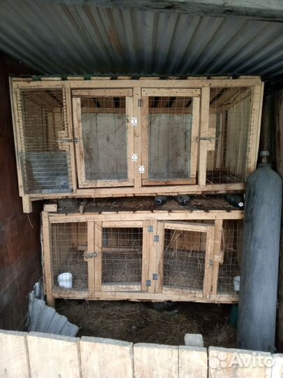 Клетка для кролика