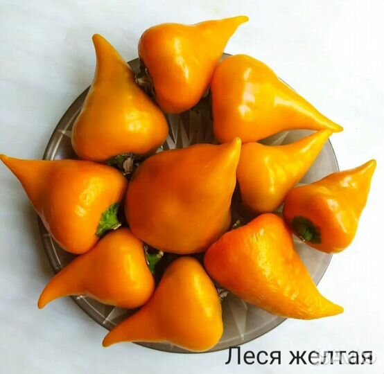 Семена сладкого перца