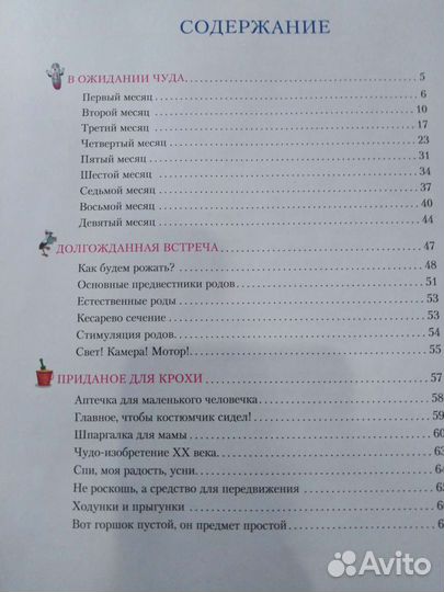 Большая книга российской мамы