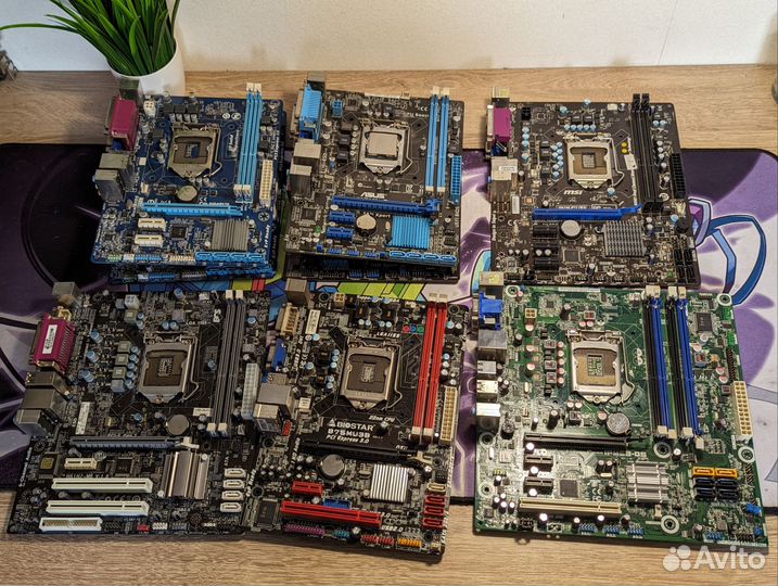 Материнские платы s1155 gigabyte msi asus biostar