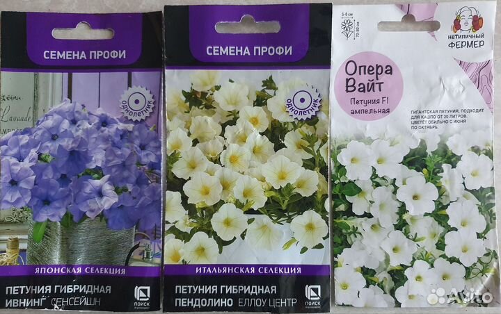 Петуния ампельная, полуампельная, каскадная