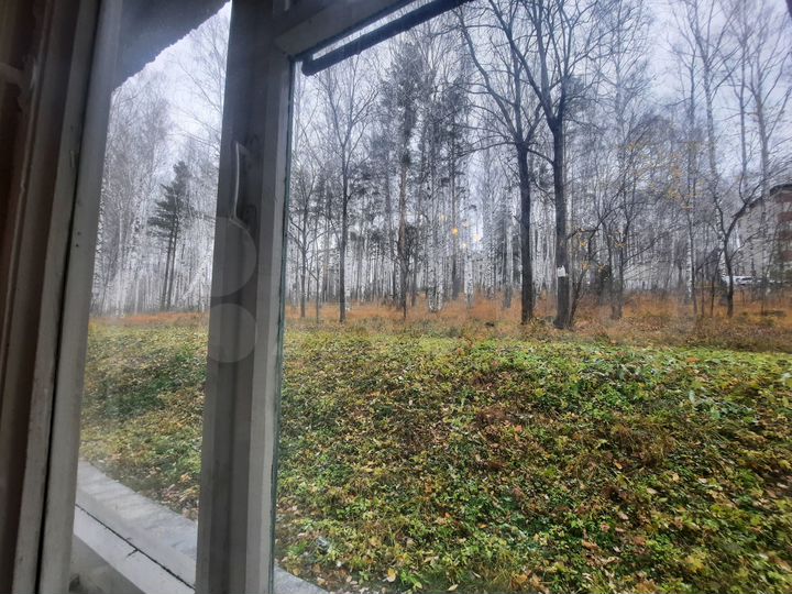 2-к. квартира, 50,8 м², 1/5 эт.