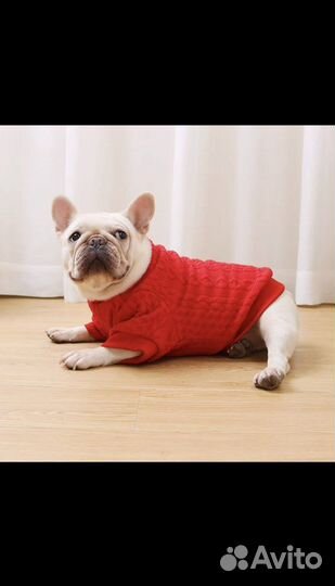 Одежда для бульдогов, мопсов