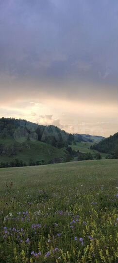 Участок 1,4 га (СНТ, ДНП)