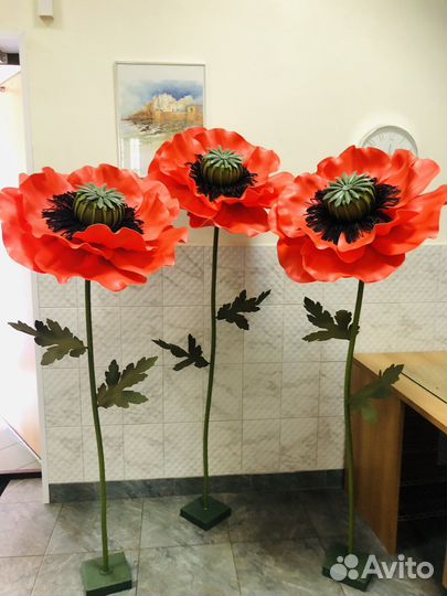 Ростовые маки (аренда/продажа)