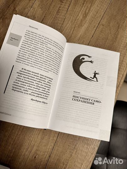 Андрей Куравтов