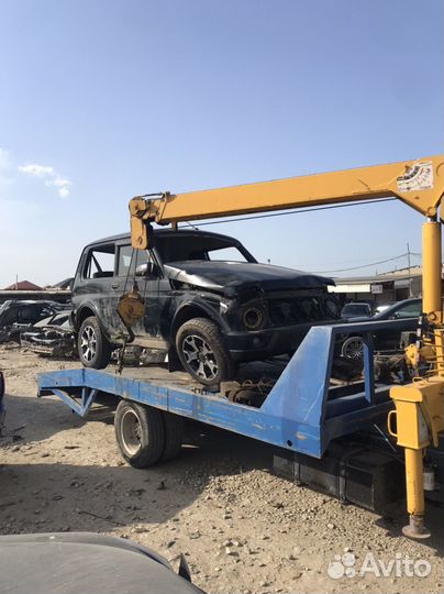 Разбор нива