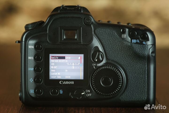 Canon 10D
