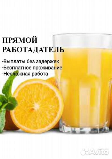 Грузчик