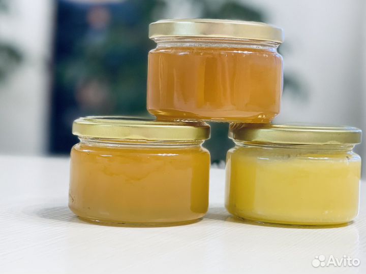 Мед липовый башкирский