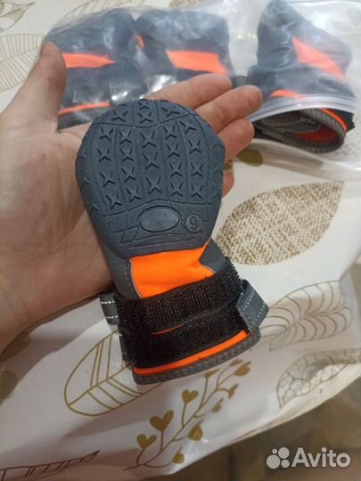 Ботинки для собак