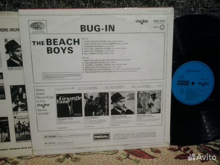 Виниловая пластинка Beach Boys (bug-in)