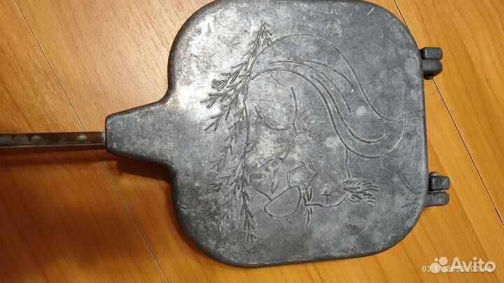 Орешница СССР Грибы