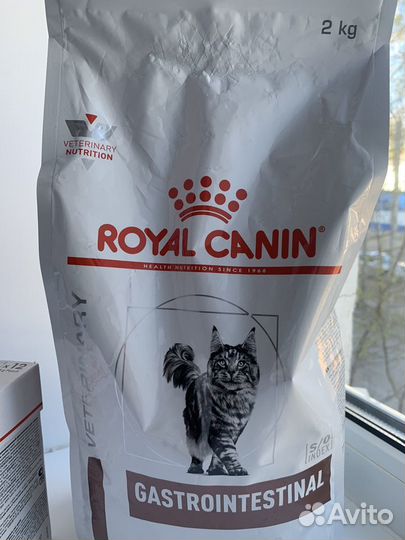 Royal canin gastrointestinal в соусе