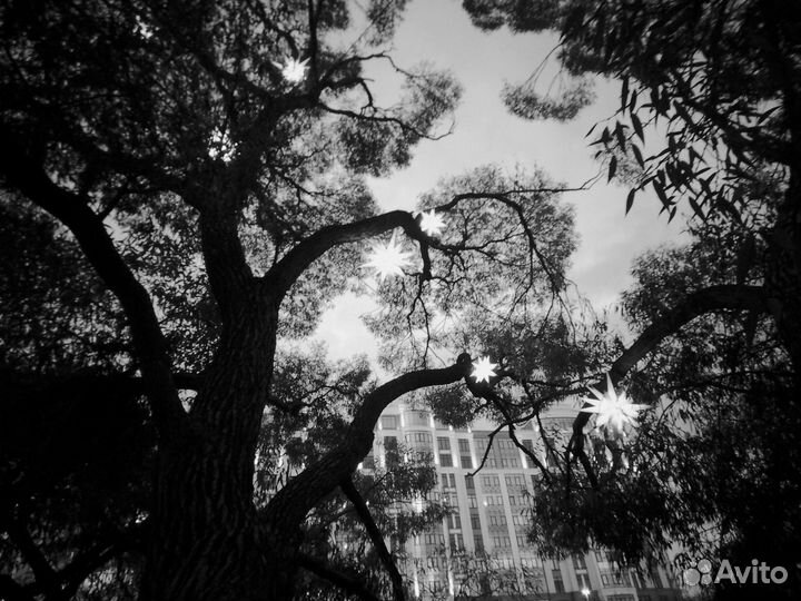 Papershoot пейпершут фотоаппарат