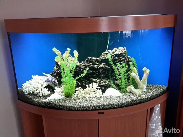 Чистка/обслуживание аквариумов