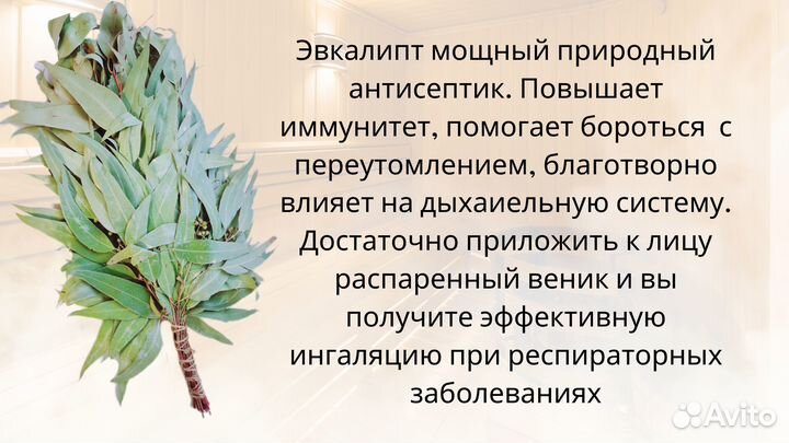 Банные веники