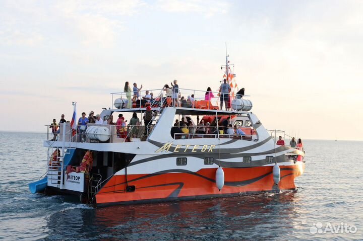 Морские прогулки