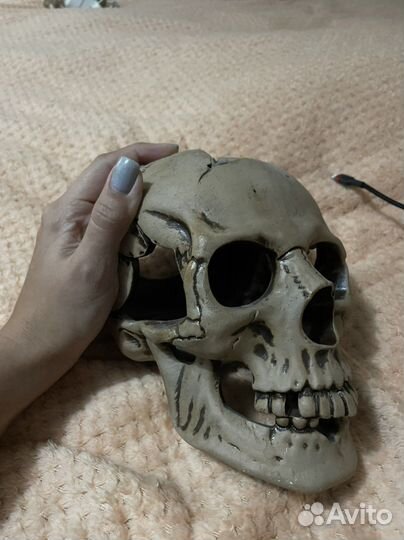 Череп большой, декорация для аквариума террариума