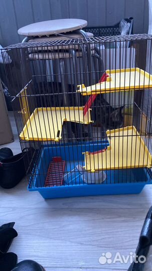 Клетка для грызунов большая