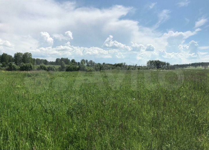 Участок 13,6 га (СНТ, ДНП)